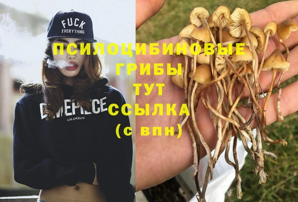эйфоретик Волосово